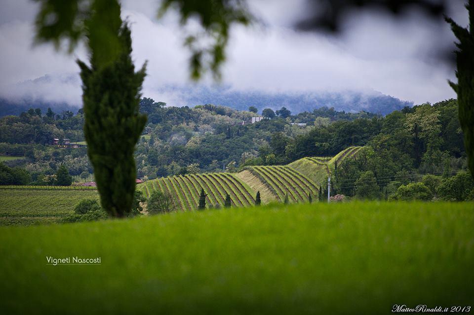Wine & Lake In Franciacorta Passirano Exterior foto